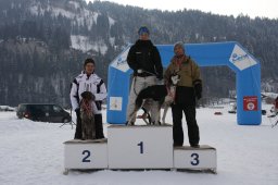 Lenk 2012 SM
